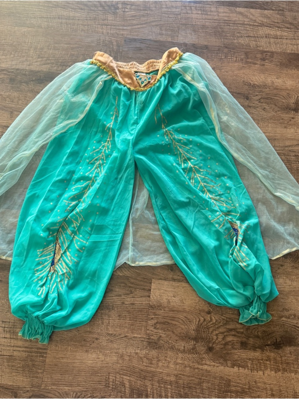 Disney Teal and Gold Costume Harem Pants